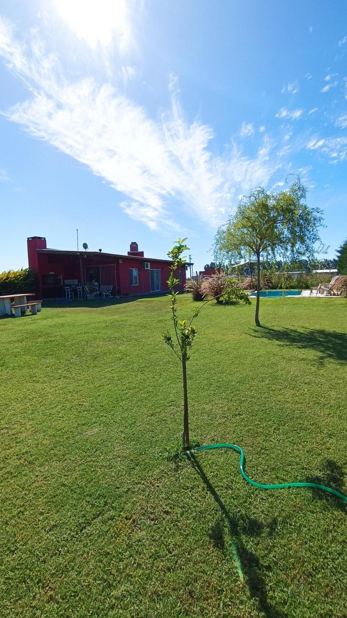 La Quinta De Loli Villa ซานเปโดร ภายนอก รูปภาพ